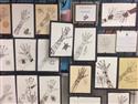 051917_artshow_(21)-82