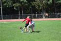DSC_0001(3)-1