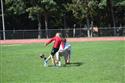 DSC_0001(4)-52