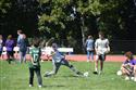 DSC_0204(2)-43