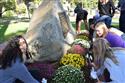 DSC_0876(2)-24